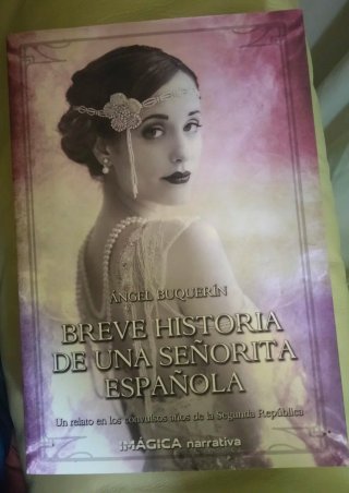 Libro, Novela