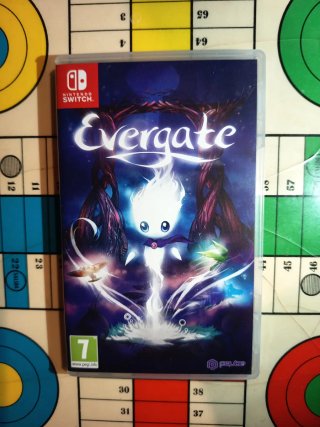 Evergate (Nintendo Switch)