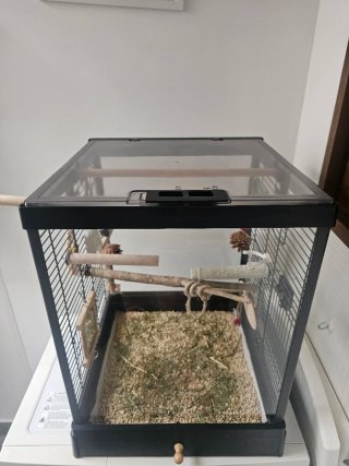 Jaula para Ninfa y Accesorios