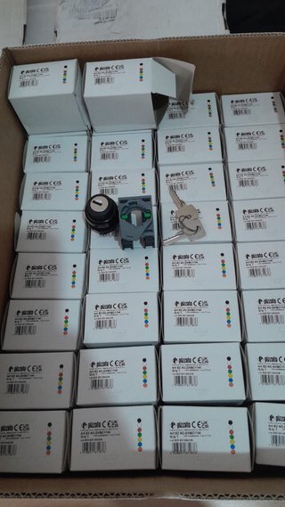 Lote de Perillas con Llave Pizzato