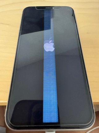 iPhone 11 64GB Grigio