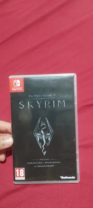 The Elder Scrolls V: Skyrim (Nintendo Switch)