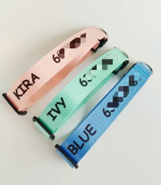 COLLAR IDENTIFICATIVO CON NOMBRE PARA PERRO