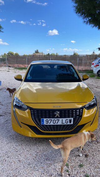 Peugeot 208 2020