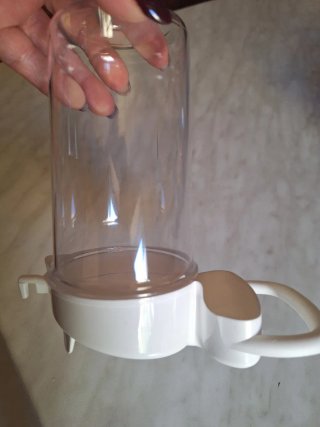 Beverino per uccellini