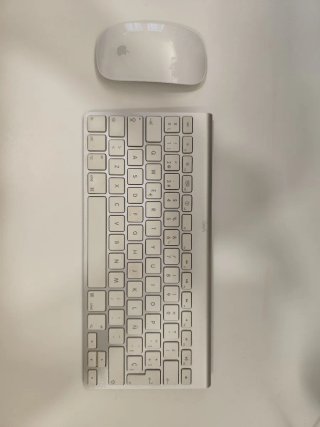 Teclado y Ratón Apple Wireless