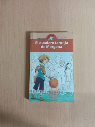 El quadern taronja de Morgana