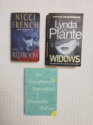 An Uncommon Education A Novel