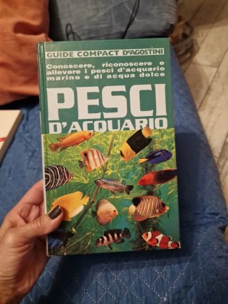 Pesci d'acquario conoscere, riconoscere e allev...