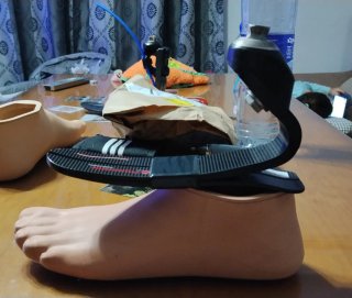 Pie Protésico de Carbono Primenute