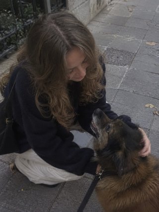 Servicios de paseo para tu perro!