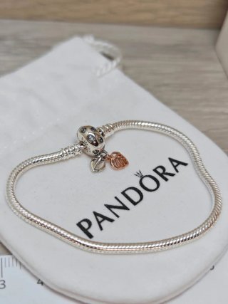 Pulsera Pandora de Plata