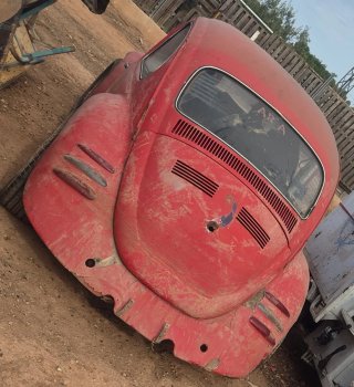 Volkswagen escarabajo