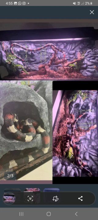 Terrario para Reptiles incluye mueble amedida