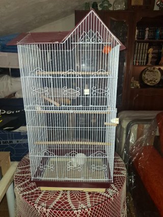Jaula Grande para Aves