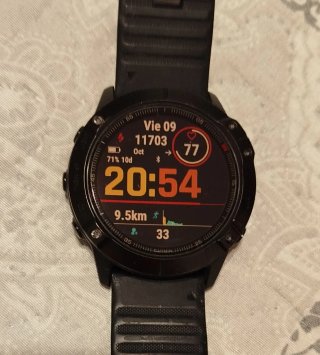 Garmin Fenix 6X Pro Negro