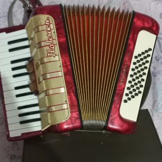Fisarmonica Hohner Student 40 Bassi come nuova pronta