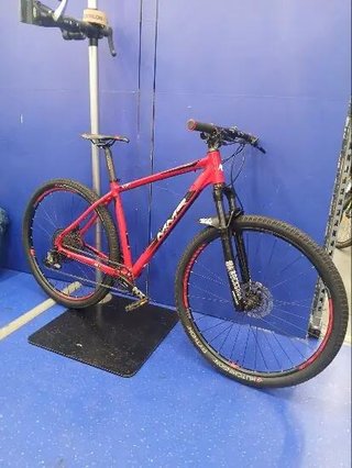 mmr woki 29