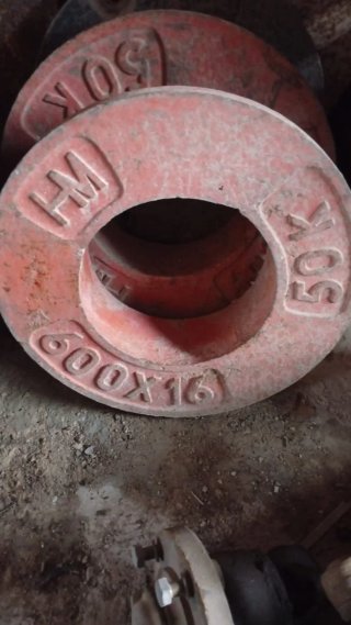 Contrapesos Pascuali 50kg