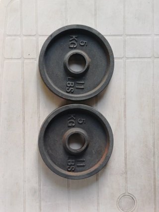 2 Dischi Domyos da 5 kg