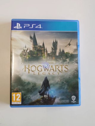 Hogwarts Legacy (PlayStation 4)