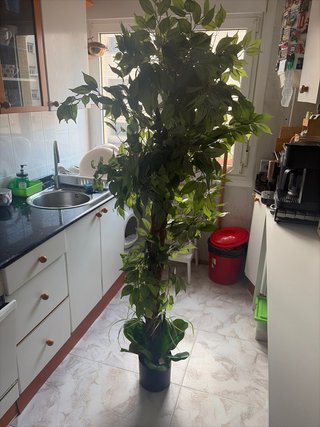 Planta Artificial Decorativa