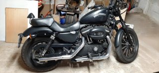 Harley Davidson Sportster 883 Iron