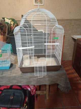 Jaula Grande para Loros y Agapornis