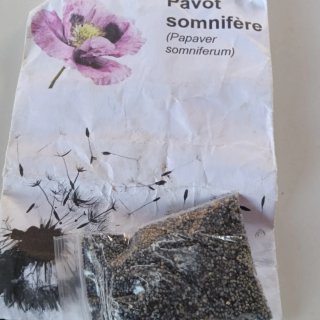 Semillas de Adormidera (Papaver Somniferum)