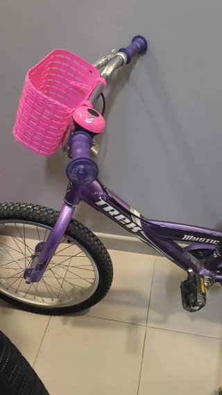 Bicicleta Infantil Trek Mystic Morada