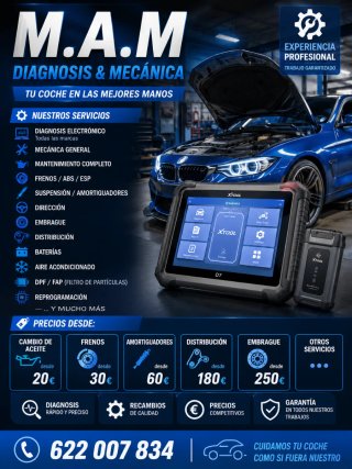 Diagnosis y mecánico