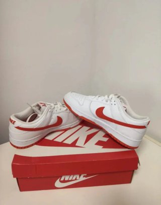 T43 Nike Dunk Low Retro