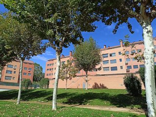 Piso en alquiler en Pajarillos en Valladolid