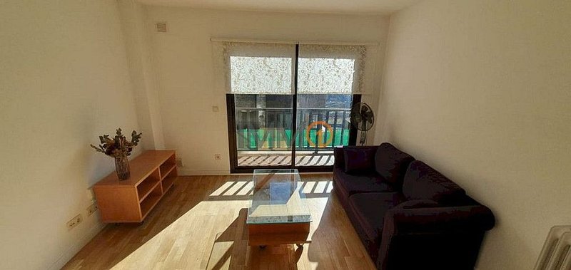 1-bedroom flat for rent in Vila, Encamp · 35 of 60