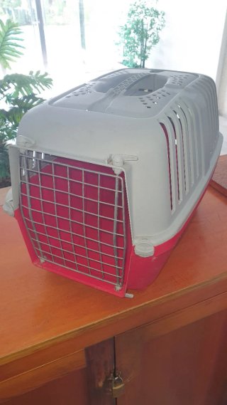 Transportín para Perros y Gatos