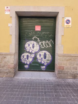 Puerta de Garaje de Aluminio.