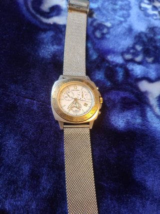 Reloj Delma Plata i bezel oro 750