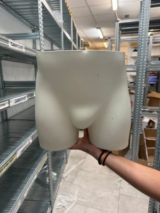 Busto de Maniquí para Ropa Interior Masculina