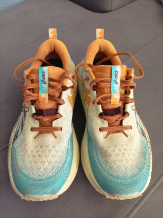 Zapatillas de Trail Asics