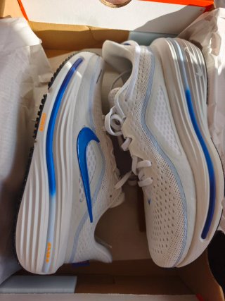 Zapatillas Nike Winflo 12