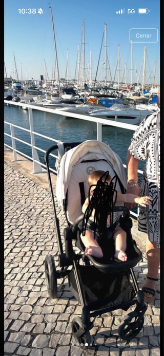 Carrito Cybex Priam con Capazo y Sillita y plastic