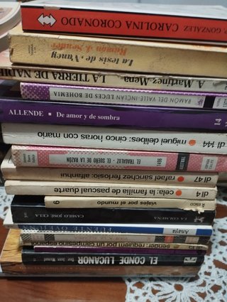 varios libros de lectura en instituto