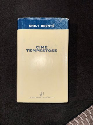 N°2 libri: Cime tempestose e I malavoglia
