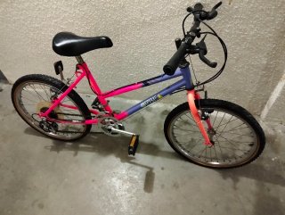 Bicicleta Infantil con Cambio de Marchas