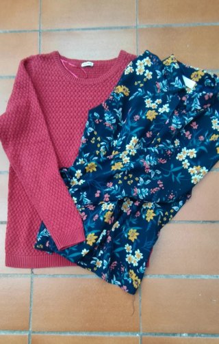 Lote Jersey y Blusa T. M/38