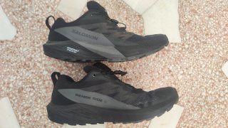 Zapatillas Salomon Sense Ride 5 Gore-Tex