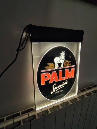 Cartel Luminoso Palm Speciale