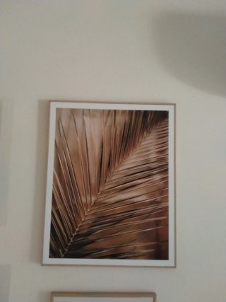 Cuadro Decorativo Hoja de Palmera