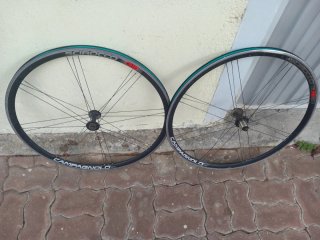 Ruedas de Bicicleta Campagnolo Scirocco