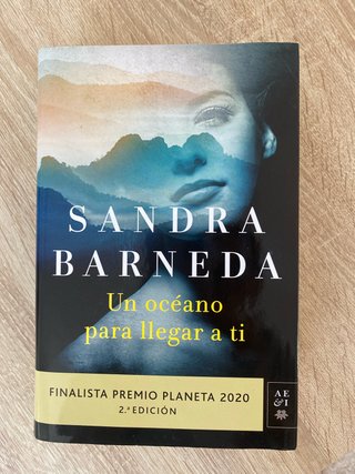 Libro Un océano para llegar a ti